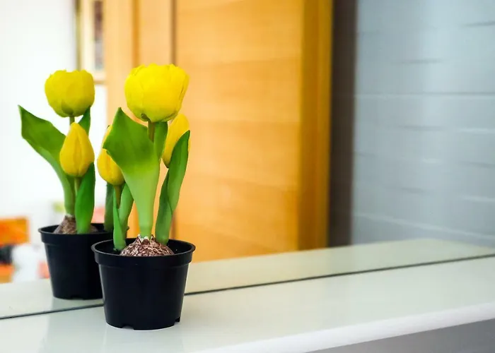 Ivan Διαμέρισμα Lopar